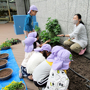 保育園の様子や園児たちの画像